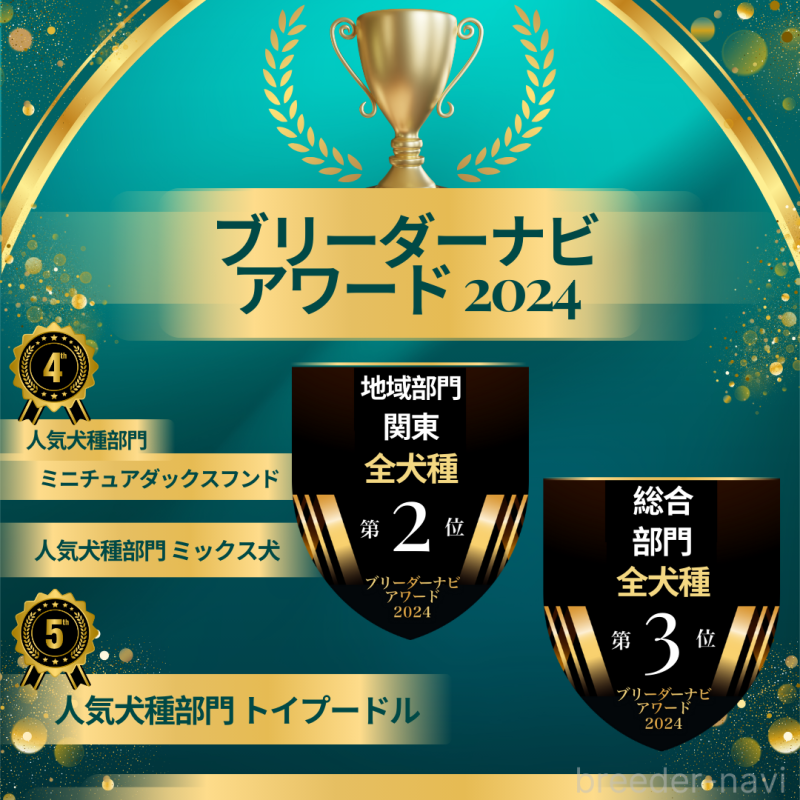 成約済の神奈川県のタイニープードル-411134の4枚目